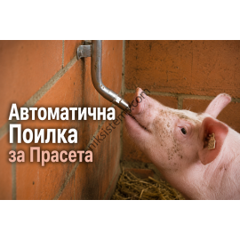 Комплект Тръба с два изхода и Нипелни Поилки за Прасета